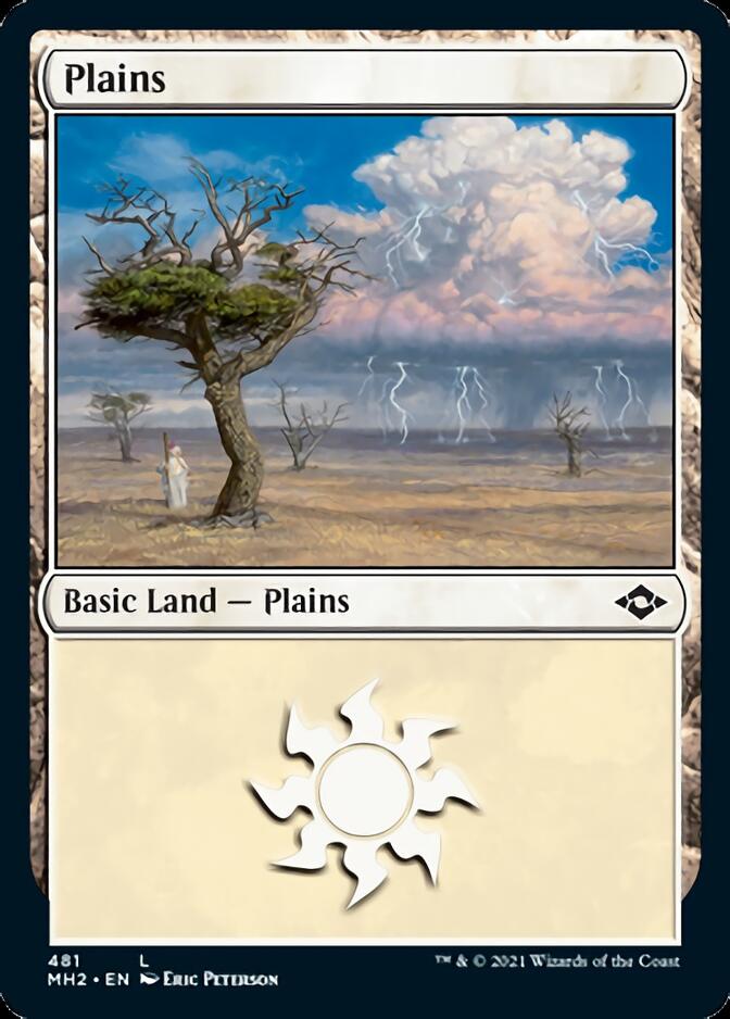 Image of Plains (481) (Foil Etched) [Modern Horizons 2]
