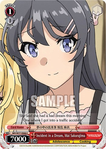 Image of Incident in a Dream, Mai Sakurajima [Rascal Does Not Dream of a Dreaming Girl]