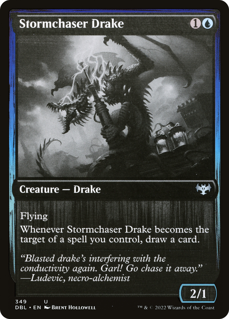 Image of Stormchaser Drake [Innistrad: Double Feature]