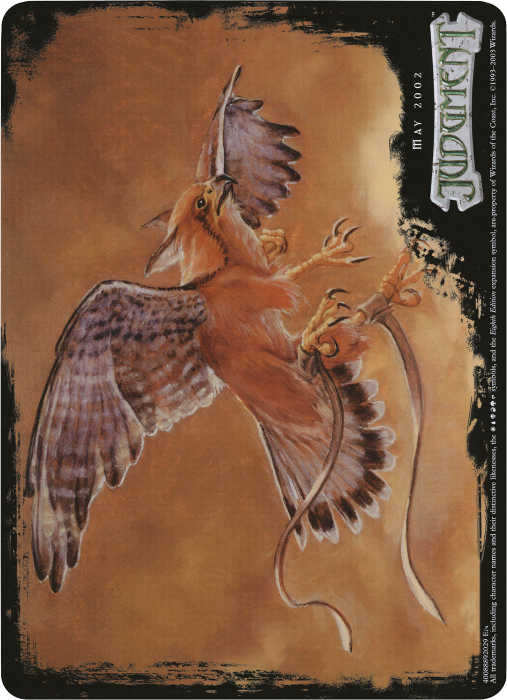 Image of Suntail Hawk (Oversized) [Eighth Edition Box Topper]