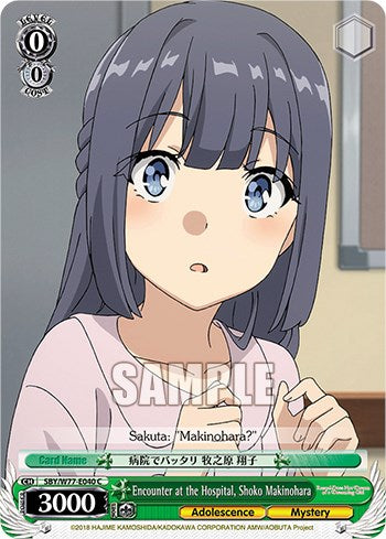 Image of Encounter at the Hospital, Shoko Makinohara [Rascal Does Not Dream of a Dreaming Girl]