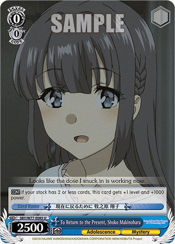 Image of To Return to the Present, Shoko Makinohara [Rascal Does Not Dream of a Dreaming Girl]