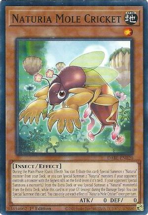 Image of Naturia Mole Cricket [DABL-EN020] Common