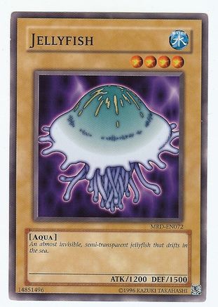Image of Jellyfish [MRD-EN072] Common