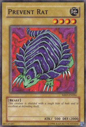 Image of Prevent Rat [MRD-EN084] Common