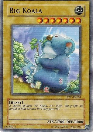 Image of Big Koala [IOC-EN004] Common