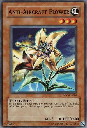 Image of Anti-Aircraft Flower [IOC-EN076] Common