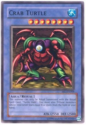 Image of Crab Turtle [SRL-EN069] Common