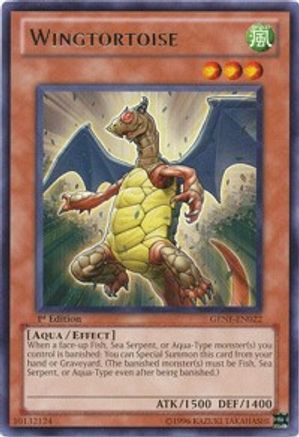 Image of Wingtortoise [GENF-EN022] Rare