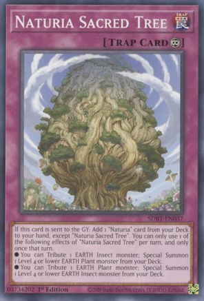 Image of Naturia Sacred Tree [SDBT-EN037] Common