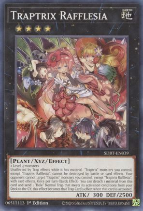 Image of Traptrix Rafflesia [SDBT-EN039] Common