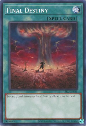 Image of Final Destiny (25th Anniversary) [SRL-EN035] Common