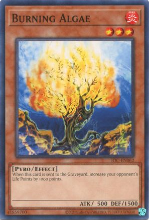 Image of Burning Algae (25th Anniversary) [IOC-EN062] Common