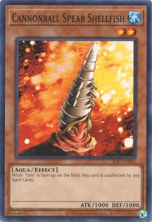 Image of Cannonball Spear Shellfish (25th Anniversary) [IOC-EN085] Common