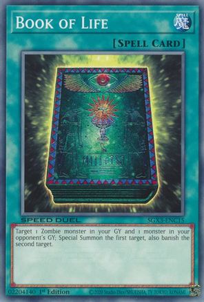 Image of Book of Life [SGX3-ENC15] Common