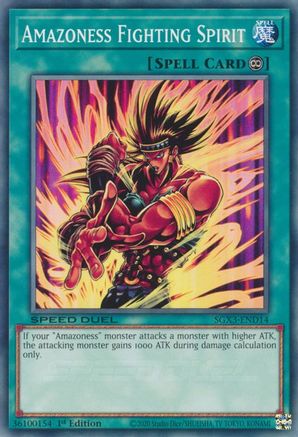 Image of Amazoness Fighting Spirit [SGX3-END14] Common