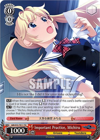 Image of Important Practice, Michiru [The Fruit of Grisaia]