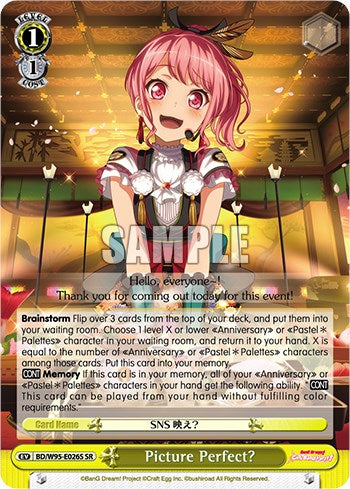Image of Picture Perfect? [BanG Dream! Girls Band Party! 5th Anniversary]