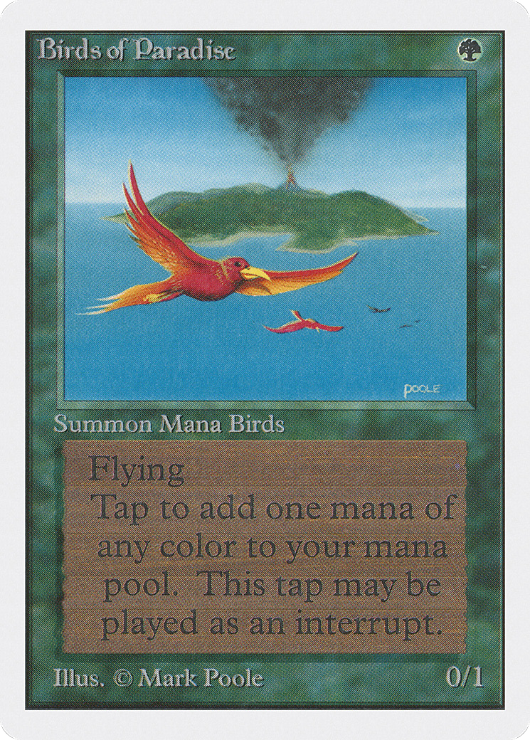 Image of Birds of Paradise [Unlimited Edition]