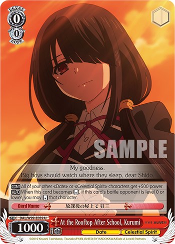 Image of At the Rooftop After School, Kurumi [Date A Live Vol.2]