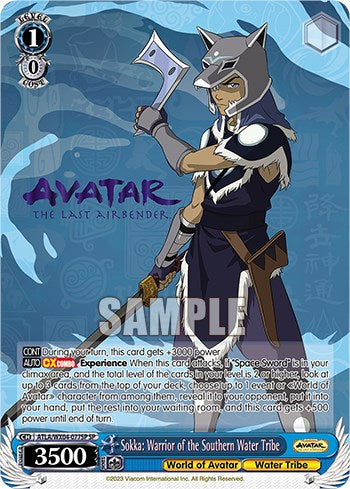 Image of Sokka: Warrior of the Southern Water Tribe [Avatar: The Last Airbender]