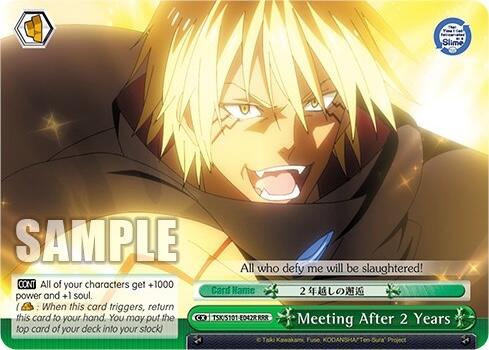 Image of Meeting After 2 Years [That Time I Got Reincarnated as a Slime Vol.3]