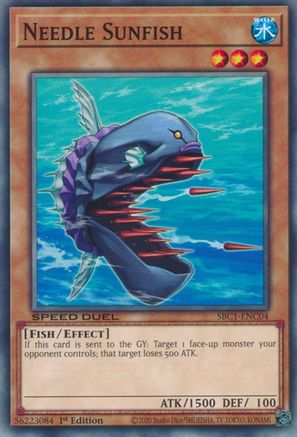 Image of Needle Sunfish [SBC1-ENC04] Common