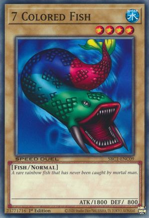 Image of 7 Colored Fish [SBC1-ENC09] Common