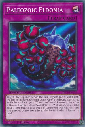Image of Paleozoic Eldonia [SBC1-ENC20] Common