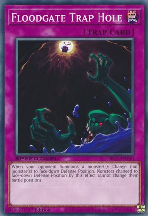 Image of Floodgate Trap Hole [SBC1-ENF20] Common