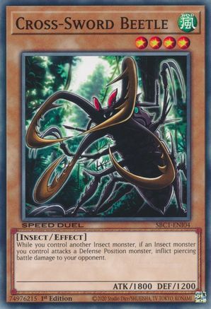 Image of Cross-Sword Beetle [SBC1-ENI04] Common