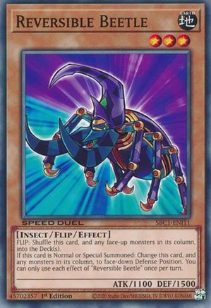 Image of Reversible Beetle [SBC1-ENI11] Common