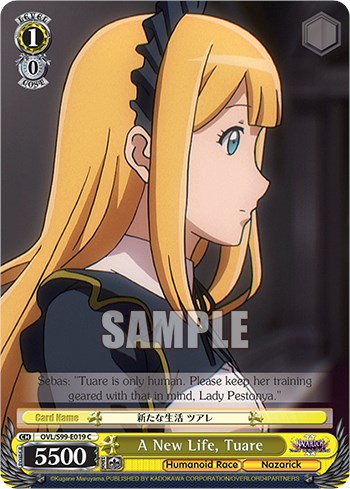 Image of A New Life, Tuare [Nazarick: Tomb of the Undead Vol.2]