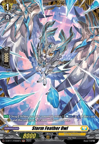 Image of Storm Feather Owl (D-BT11/FR30EN) [Clash of the Heroes]