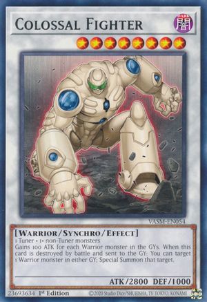 Image of Colossal Fighter [VASM-EN054] Rare
