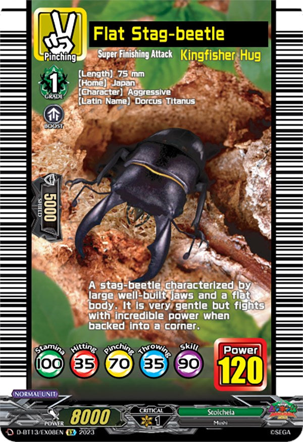 Image of Flat Stag-beetle (D-BT13/EX08EN) [Flight of Chakrabarthi]