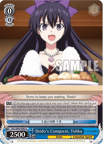 Image of Shido's Conquest, Tohka [Date A Live Vol.2]