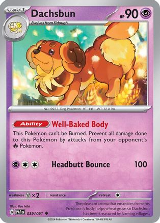 Image of Dachsbun (039/091) [Scarlet & Violet: Paldean Fates]