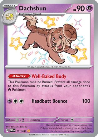 Image of Dachsbun (161/091) [Scarlet & Violet: Paldean Fates]