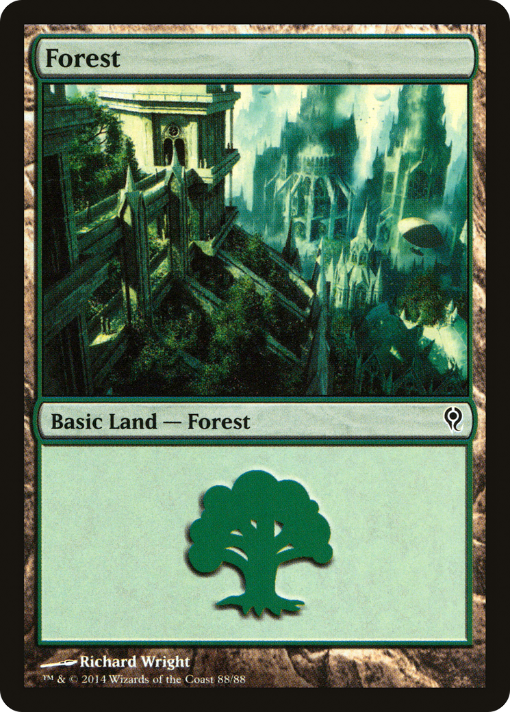 Image of Forest (88) [Duel Decks: Jace vs. Vraska]