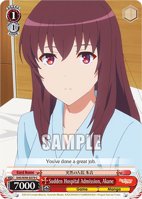 Image of Sudden Hospital Admission, Akane (SHS/W98-E079 C) [Saekano the Movie: Finale]