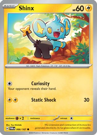Image of Shinx (066/167) [Scarlet & Violet: Twilight Masquerade]