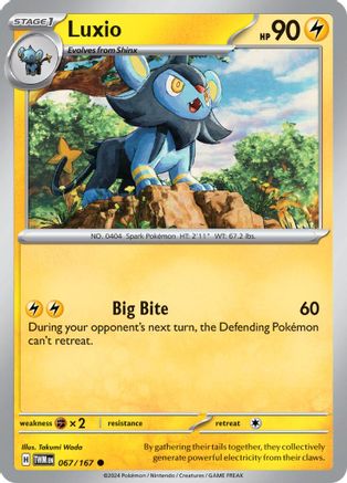 Image of Luxio (067/167) [Scarlet & Violet: Twilight Masquerade]