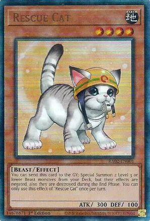 Image of Rescue Cat (Alternate Art) (PUR) [RA02-EN001] Prismatic Ultimate Rare
