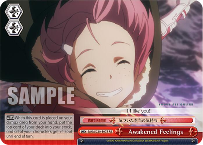Image of Awakened Feelings [Sword Art Online Chronicle Set]