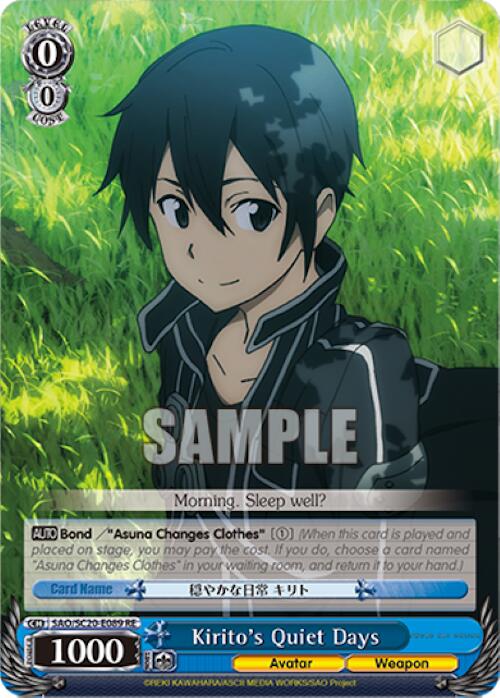 Image of Kirito's Quiet Days [Sword Art Online Chronicle Set]