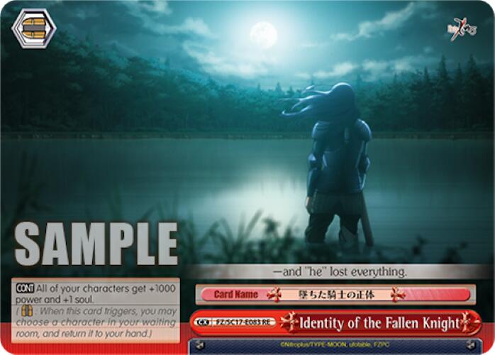 Image of Identity of the Fallen Knight [Fate/Zero Chronicle Set]