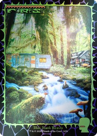 Image of Forest (1656) (Rainbow Foil) [Secret Lair Drop Series]