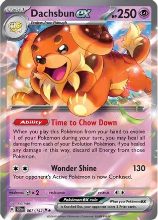 Image of Dachsbun ex (067/142) [Scarlet & Violet: Stellar Crown]