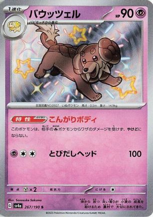 Image of Dachsbun - 267/190 (267/190) - SV4a Shiny Treasure ex Holofoil